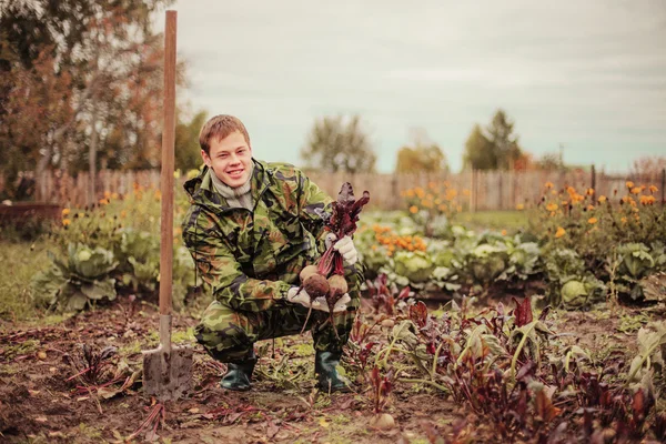 Agricoltore. — Foto Stock