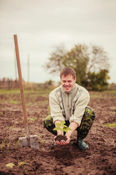 Plant. — Stock Photo, Image