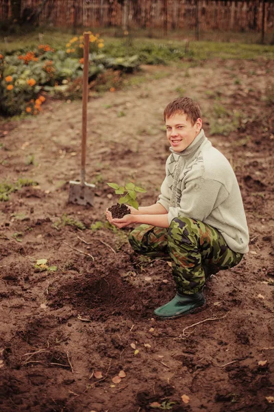 Plant. — Stock Photo, Image