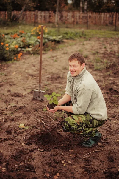 Plant. — Stock Photo, Image