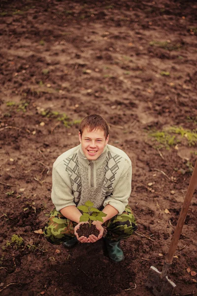 Plant. — Stock Photo, Image