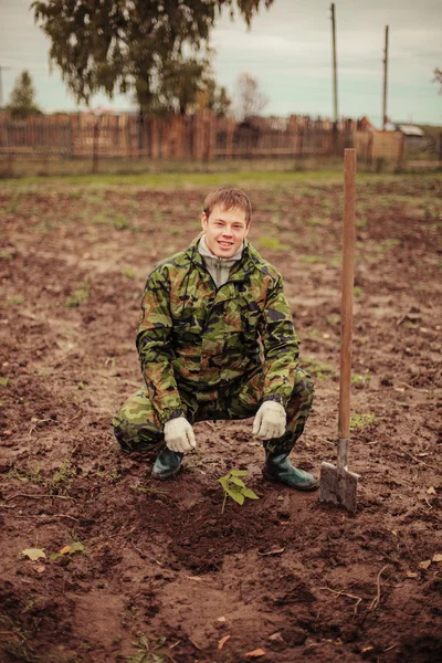 Plant. — Stock Photo, Image