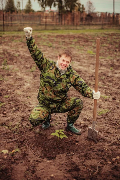 Plant. — Stock Photo, Image