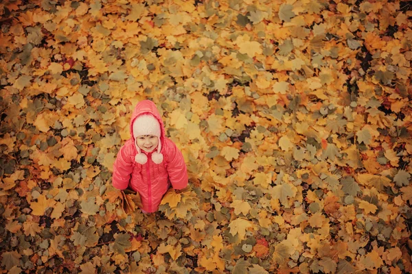 Portrait. — Stock Photo, Image