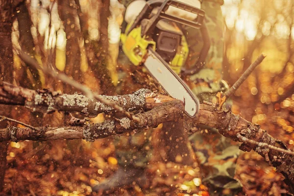 Chainsaw. — Stock Photo, Image