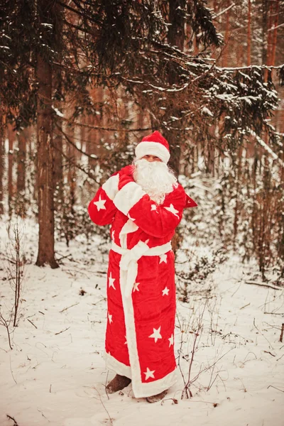 Jultomten. — Stockfoto