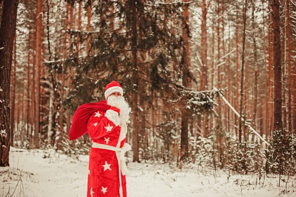 Jultomten. — Stockfoto