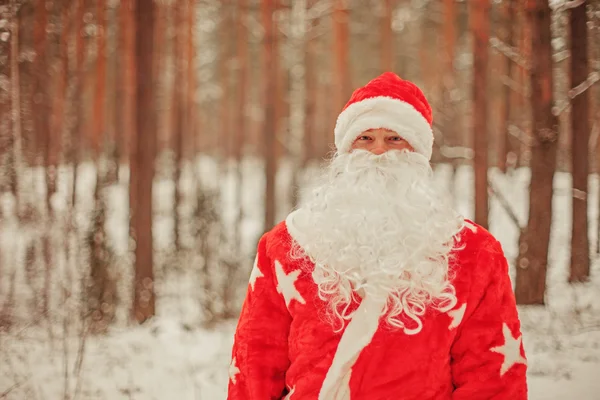 Kerstman. — Stockfoto