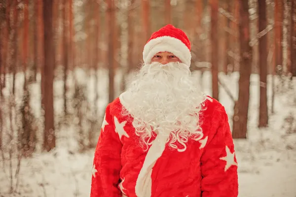 Santa Claus. — Stock fotografie