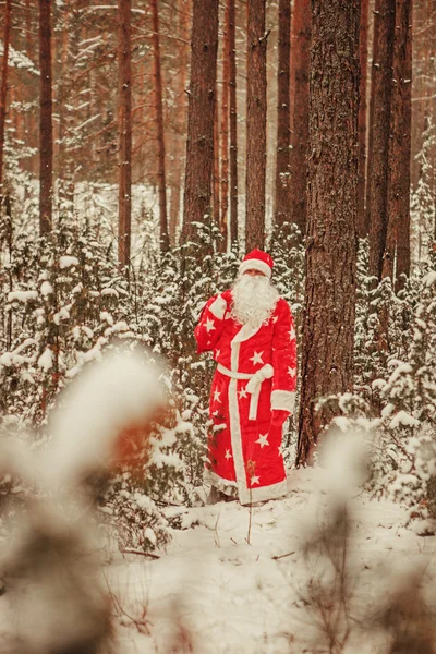 Papá Noel. — Foto de Stock