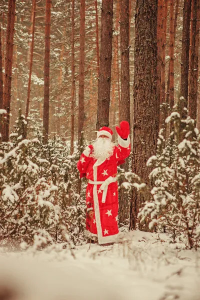 Jultomten. — Stockfoto