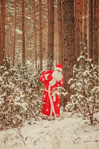 Санта-Клаус. — стоковое фото