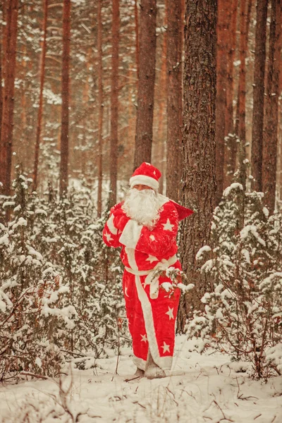 Santa Claus. — Stock fotografie
