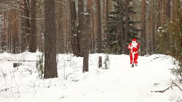 Santa Claus. — Vídeo de stock