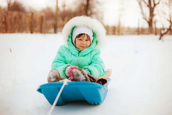 滑雪橇. — 图库照片