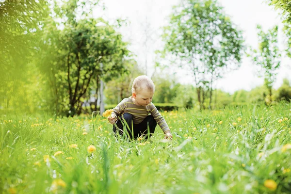 Kind. — Stockfoto