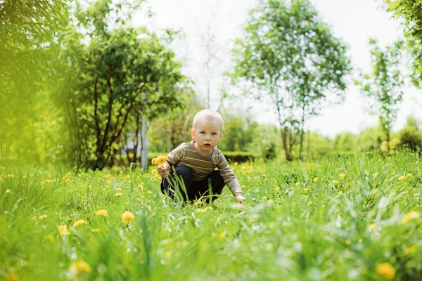 Kind. — Stockfoto