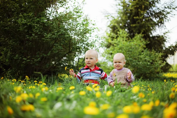 Kinder. — Stockfoto