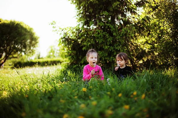 Children. — Stock Photo, Image