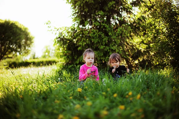 Enfants. — Photo