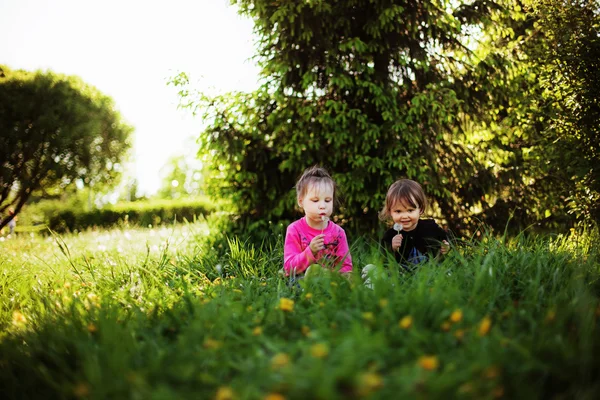 Kinder. — Stockfoto