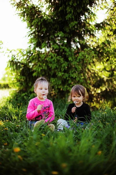 Children. — Stock Photo, Image