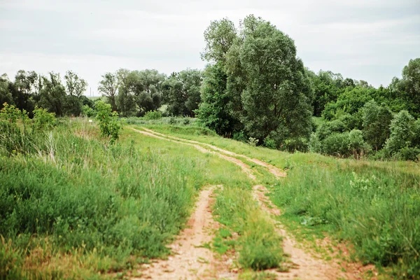 Paisagem. — Fotografia de Stock