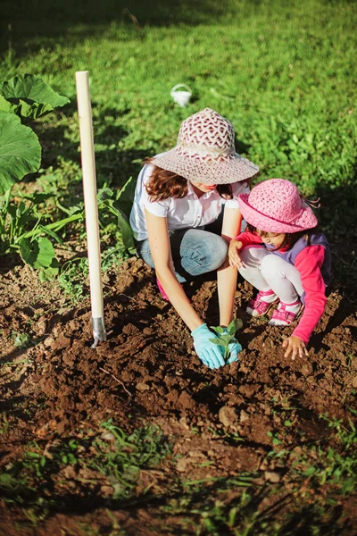 Aile. — Stok fotoğraf