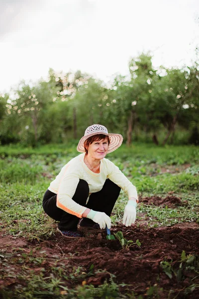 Tuinman. — Stockfoto