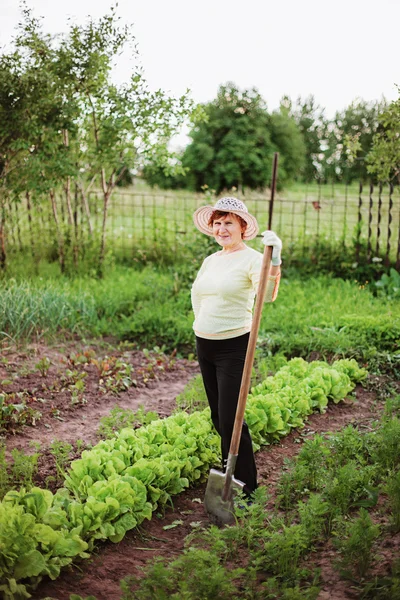 Jardinero.. — Foto de Stock