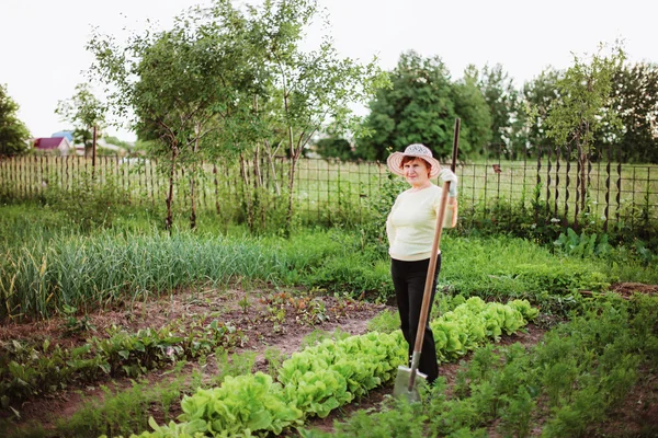 Jardineiro. — Fotografia de Stock
