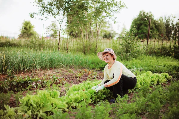 Gardener. — Stock Photo, Image