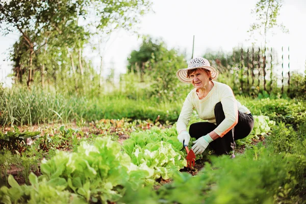 Tuinman. — Stockfoto