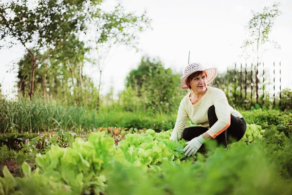 Tuinman. — Stockfoto