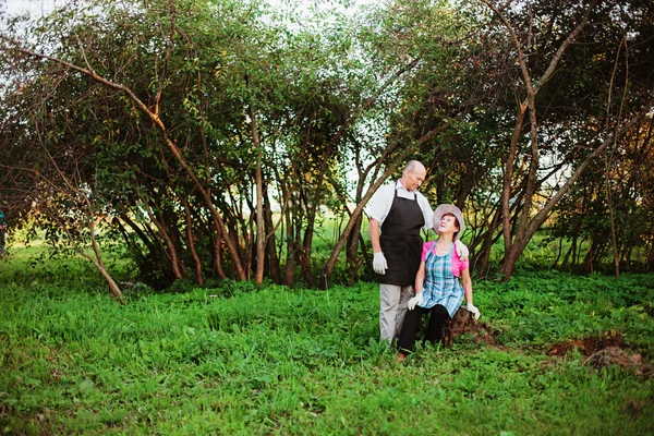 Tuinman. — Stockfoto