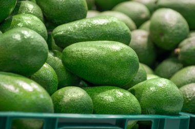 süpermarkette yeşil avokado dolu kutu