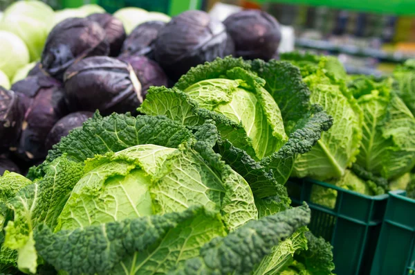 Shelf with savoy and red cabbage — Stock Photo, Image