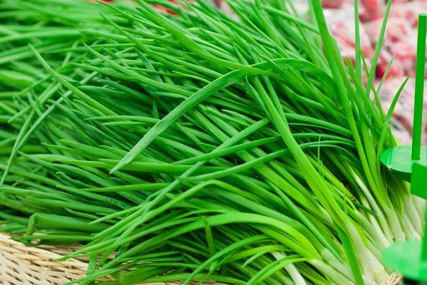 Bunch of spring onions — Stock Photo, Image