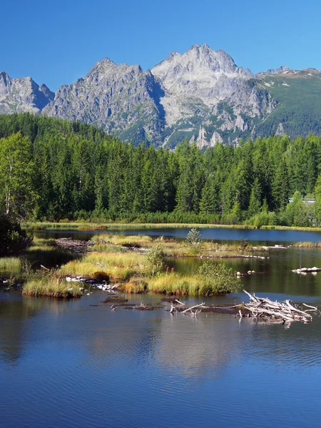 Štrbské pleso Slovenské Vysoké Tatry na léto — Stock fotografie