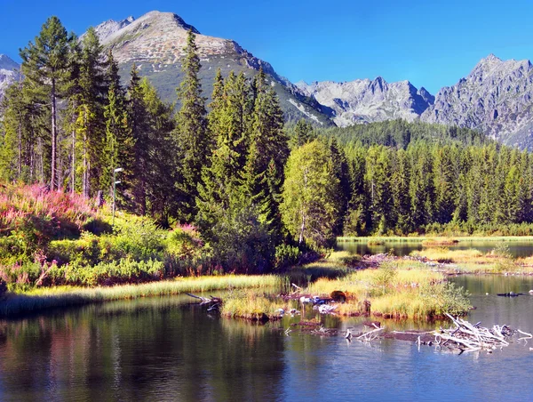 Štrbské pleso Slovenské Vysoké Tatry na léto — Stock fotografie