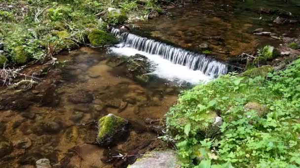 ruisseau de montagne clair 