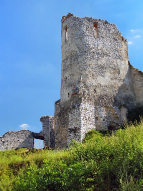Donjon Kotiçe ', Slovakya kale