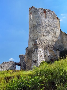 Donjon of The Castle of Cachtice, Slovakia clipart