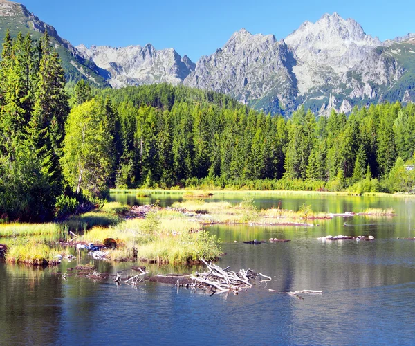 (Strbske Pleso) és a Magas-Tátra Strbsky-csúcs — Stock Fotó