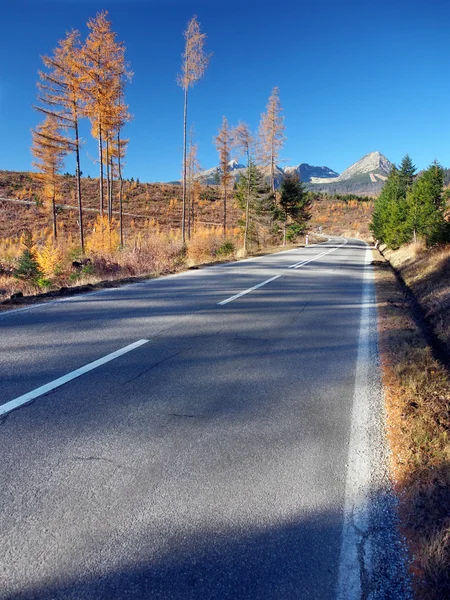 Straße in die hohe Tatra von strba im Herbst — Stockfoto