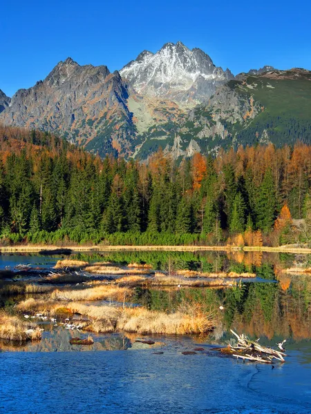 Nove strbske pleso, yüksek tatras Güz — Stok fotoğraf