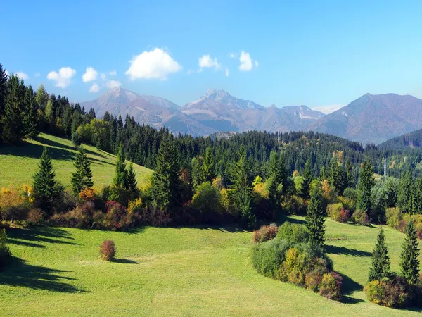 Malá fatra a lesů nad jasenova vesnice — Stock fotografie