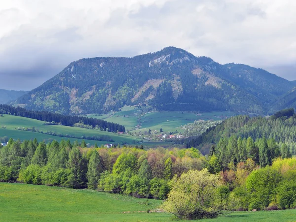 Campo com colina de Pravnac perto de Bobrovnik — Fotografia de Stock