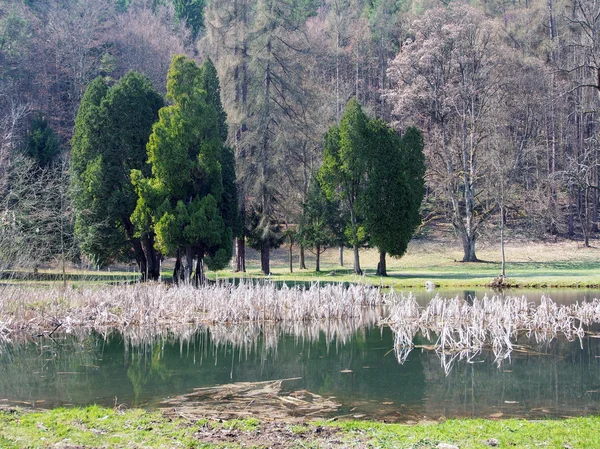 Parkem a jezerem v Turčianská stiavnicka — Stock fotografie