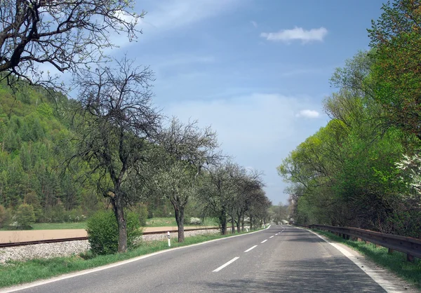 Road to Dolny Kubin in summer — Stock Photo, Image